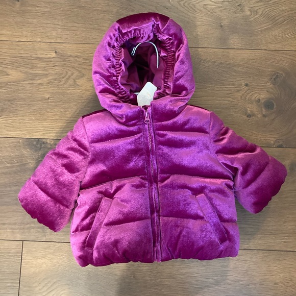 Brand New Gymboree Velvet/Velour Puffer Coat - Picture 1 of 2